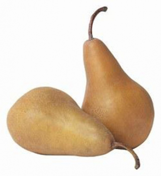 Kaiser Alexander Pear Kaiser Alexander Pear